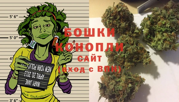 стафф Богданович