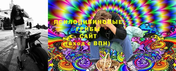 стафф Богданович